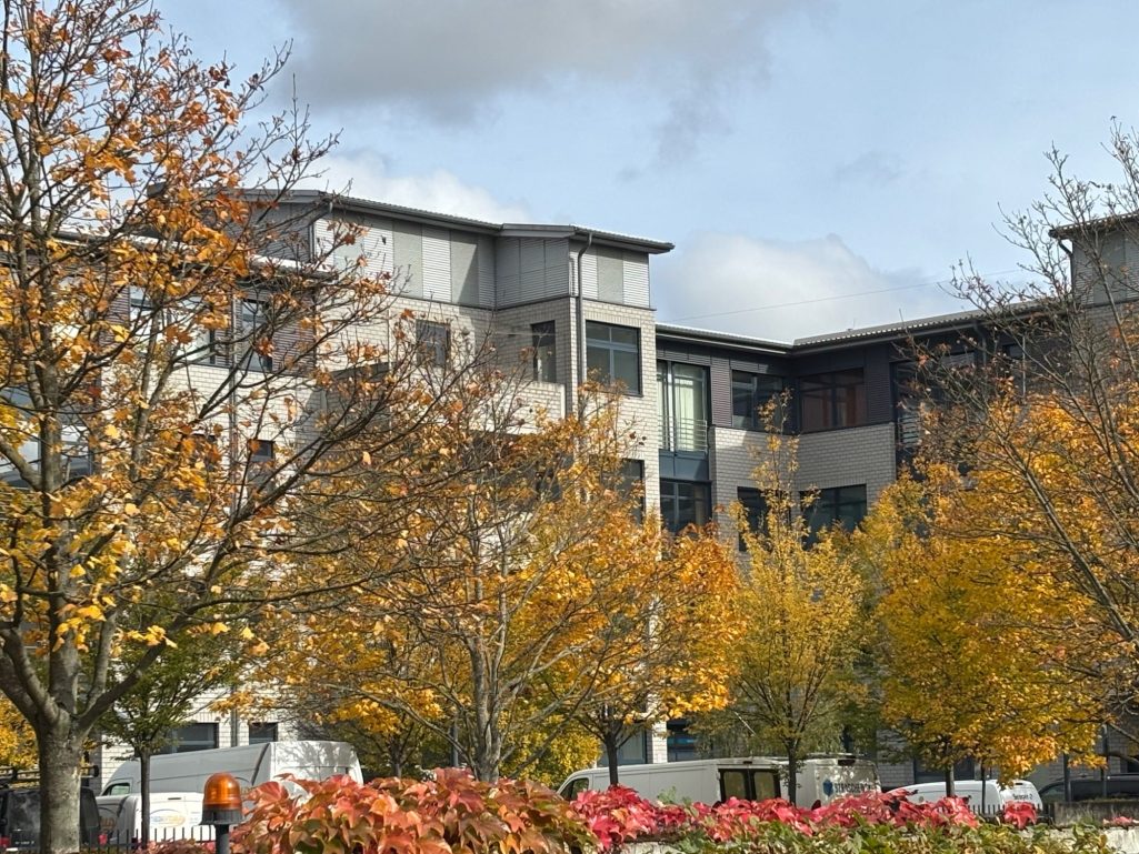 Bürogebäude in Berlin im Herbst. Vor dem mehrstöckigen Haus sind mehrere Bäume, die bereits ihre gelben Blätter verloren haben
